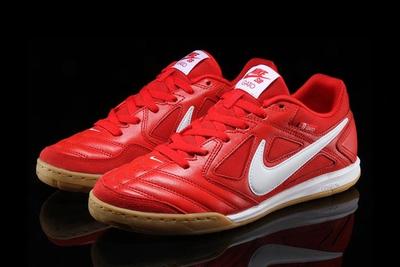 Nike Sb Gato Red Pair