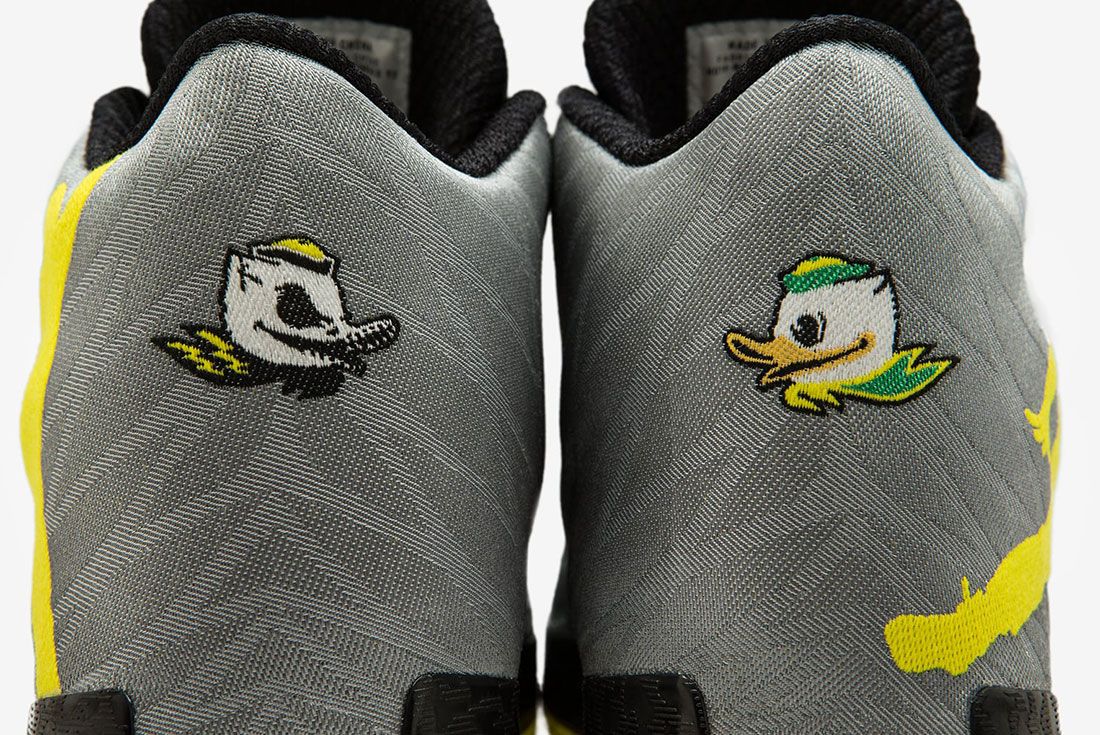 Air Jordan Ducks 17
