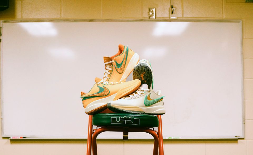 famu nike lebron 18 pe