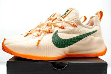 FAMU Pride: The Rattlers Get Their Own LeBron TR1 PE