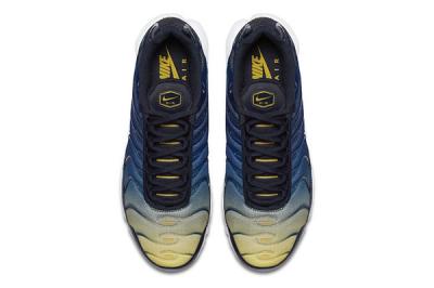 Nike Air Max Plus Gradient Blue Yellow 4
