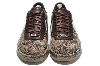 air force python