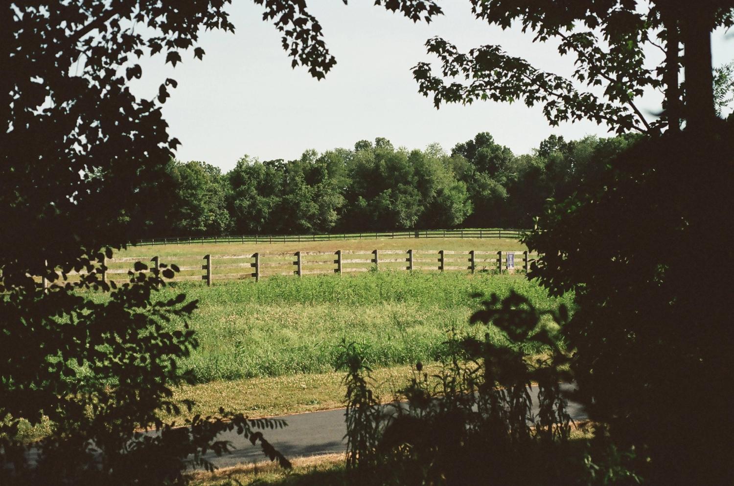 Grassy field with wooden fence