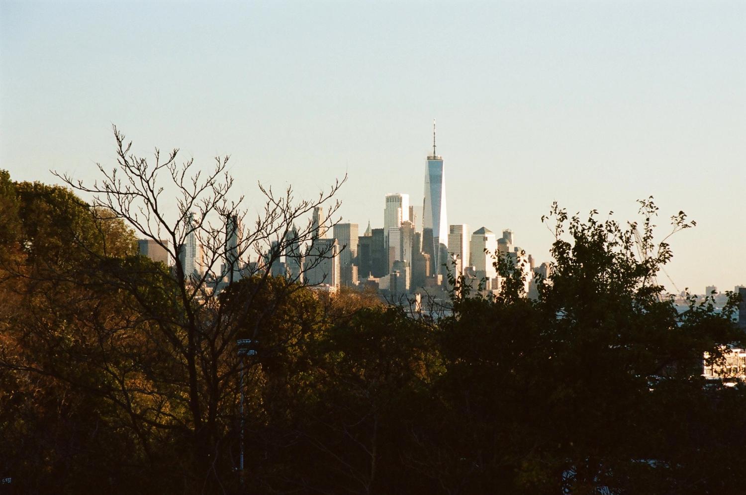 New York City skyline through trees