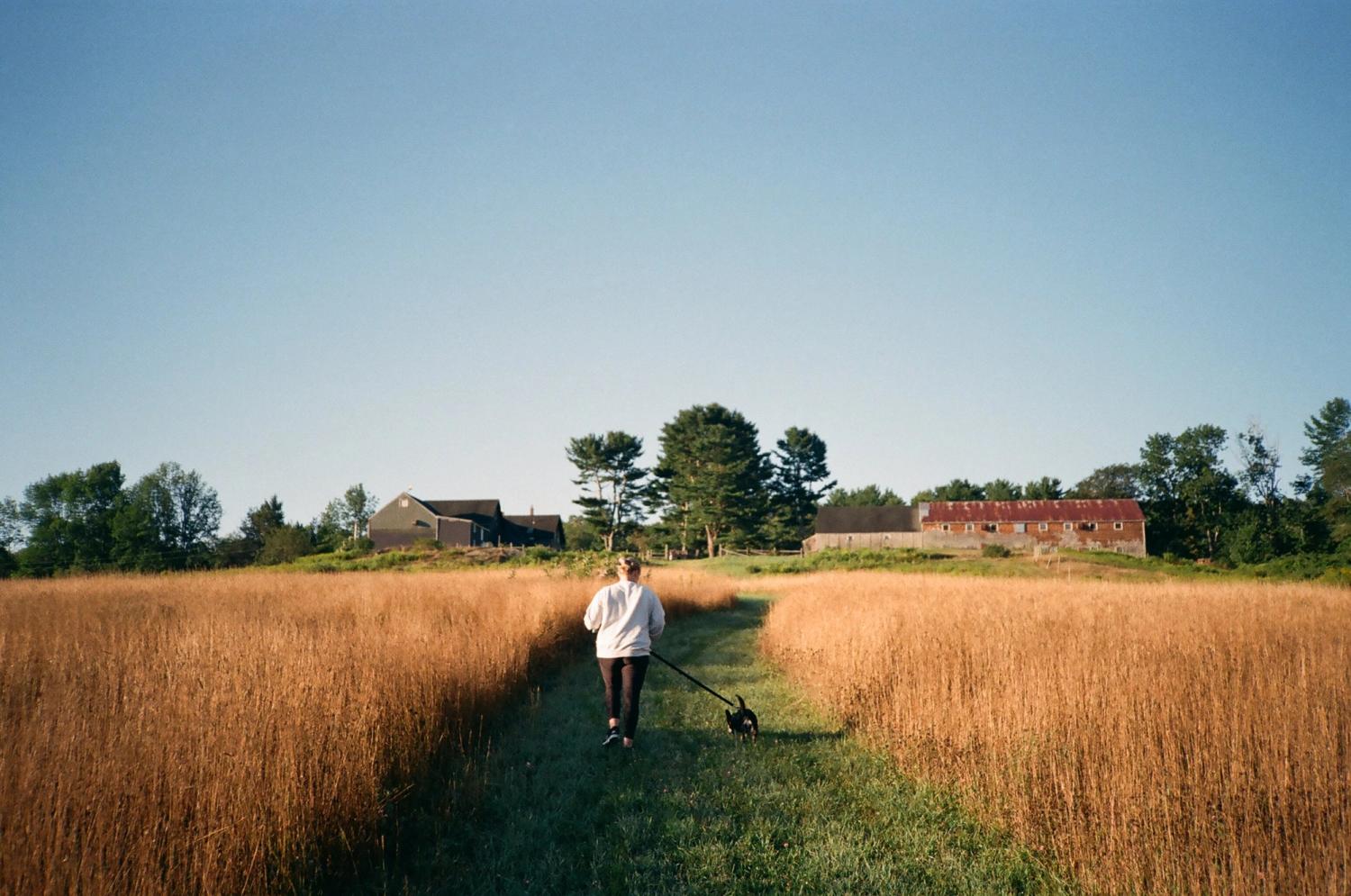 Woman walking dog in field