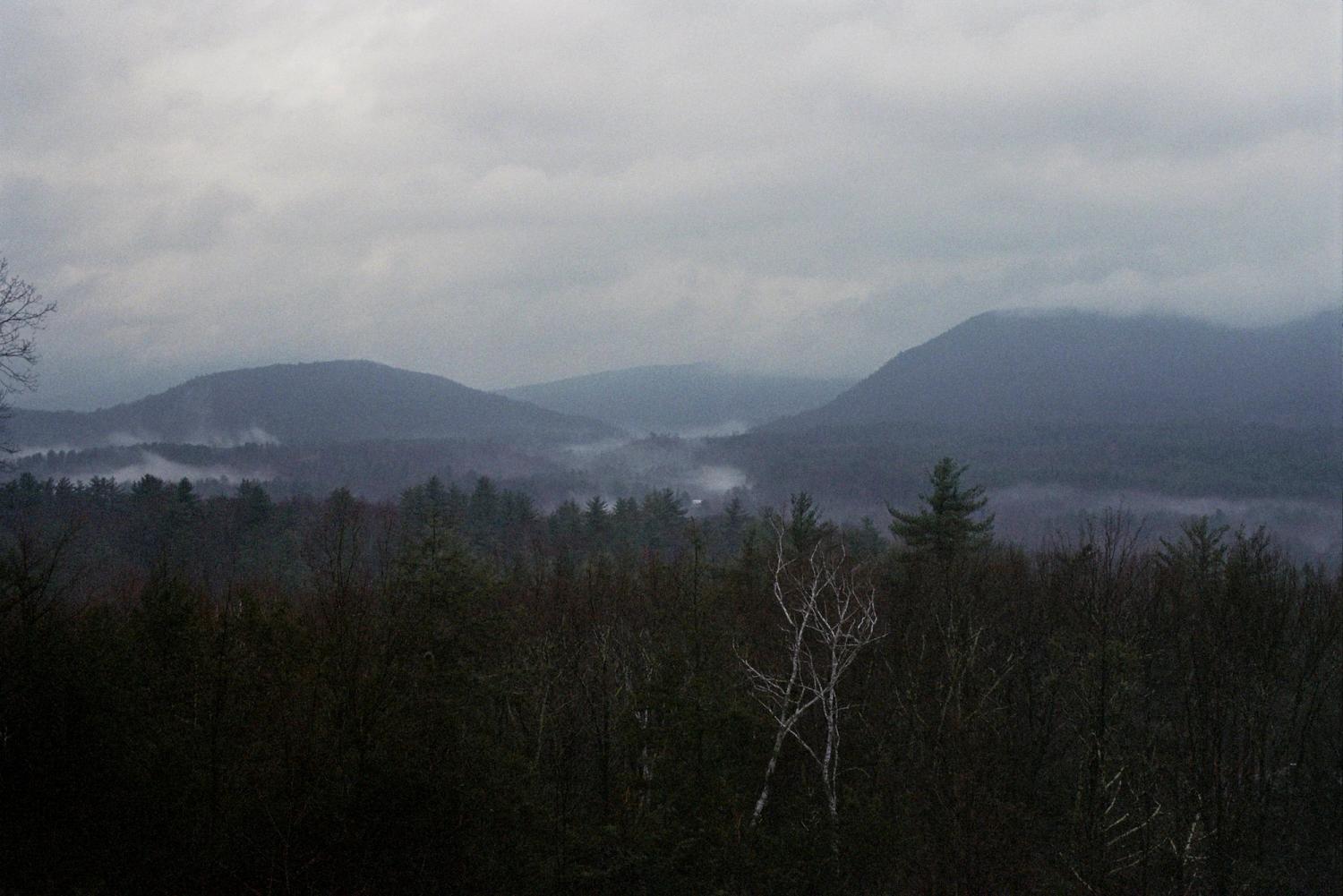 Trees with mountains in the distance