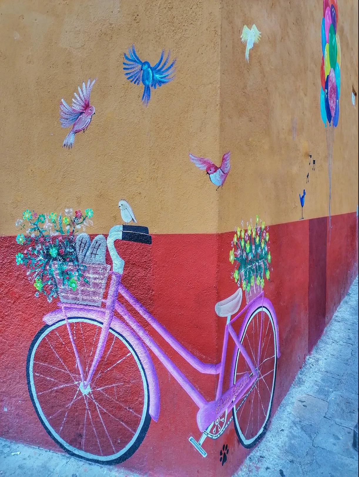 Living Market, Fábrica La Aurora & Guadalupe Art District - 6