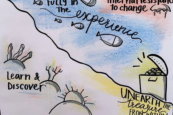 Visual Facilitation Bikablo Basics 15-16 January 2025