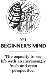 Mindful Colouring Activities - Beginner's Mind