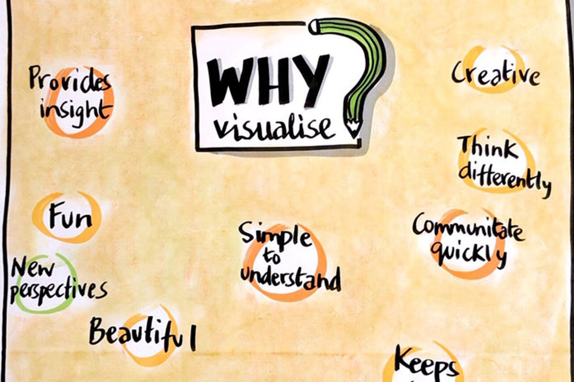 Why Visualise?