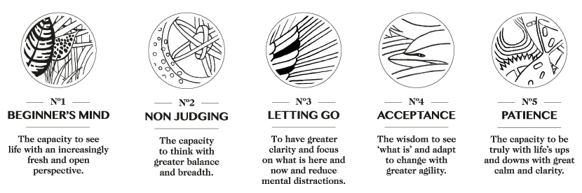 Colour your way to a better you.