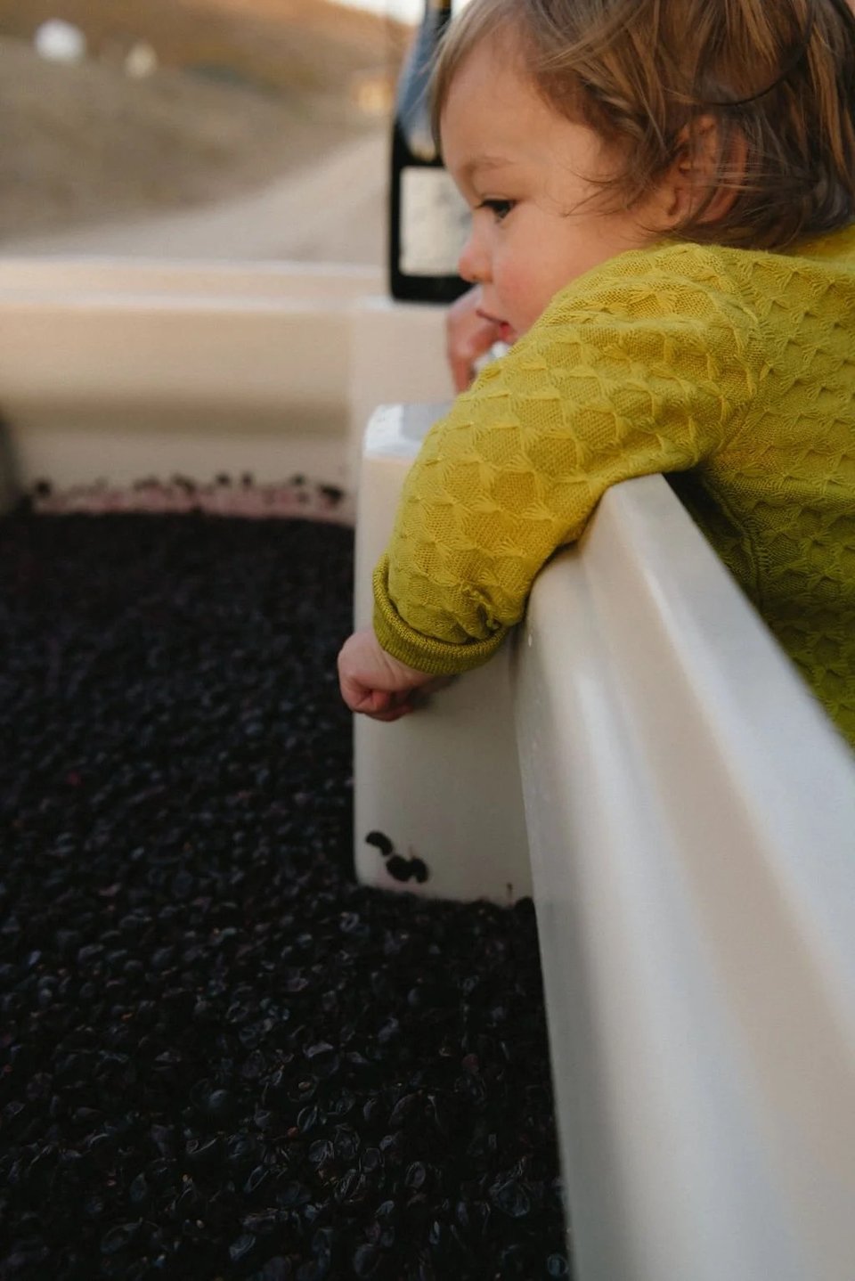 Harvest at Loom Wines​​​​‌﻿‍﻿​‍​‍‌‍﻿﻿‌﻿​‍‌‍‍‌‌‍‌﻿‌‍‍‌‌‍﻿‍​‍​‍​﻿‍‍​‍​‍‌﻿​﻿‌‍​‌‌‍﻿‍‌‍‍‌‌﻿‌​‌﻿‍‌​‍﻿‍‌‍‍‌‌‍﻿﻿​‍​‍​‍﻿​​‍​‍‌‍‍​‌﻿​‍‌‍‌‌‌‍‌‍​‍​‍​﻿‍‍​‍​‍‌‍‍​‌﻿‌​‌﻿‌​‌﻿​​‌﻿​﻿​﻿‍‍​‍﻿﻿​‍﻿﻿‌﻿‌﻿‌﻿‌﻿‌﻿‌﻿​‍﻿‍‌﻿​﻿‌‍​‌‌‍﻿‍‌‍‍‌‌﻿‌​‌﻿‍‌​‍﻿‍‌‍‍‌‌‍﻿﻿​‍﻿﻿‌​​​‌‍﻿﻿‌﻿​​‌‍‌﻿​﻿‍‌‌‍‌​‌​﻿‌‌﻿​‌‌‌‌​‌​​﻿​‍﻿﻿‌﻿​﻿‌﻿‌​‌﻿‌‌‌‍‌​‌‍‍‌‌‍﻿﻿​‍﻿﻿‌‍​﻿​﻿‍‌​﻿‌﻿‌﻿‌​‌‍‌​​﻿​​‌‍‍‍‌﻿‌‌‌‍‌​​﻿​​‌‍﻿​‌‍​‌‌﻿‌‌​﻿​​​﻿‍​‌﻿‍‍​﻿​‍‌﻿‌﻿‌‍﻿﻿​﻿‌​​﻿​‌‌‍​﻿‌﻿‍‌​﻿​‍​‍﻿﻿‌‍‌​‌‍‌‌‌﻿‌‍‌‍‌‌‌‍﻿​‌‍﻿﻿‌﻿​​‌‍﻿‌‌‍‌‌‌‍﻿‍‌﻿‌​​‍﻿﻿‌‍‍‌‌‍﻿‍‌﻿‌​‌‍‌‌‌‍﻿‍‌﻿‌​​‍﻿﻿‌‍‌‌‌‍‌​‌‍‍‌‌﻿‌​​‍﻿﻿‌‍﻿‌‌‍﻿﻿‌‍‌​‌‍‌‌​﻿﻿‌‌﻿​​‌﻿​‍‌‍‌‌‌﻿​﻿‌‍‌‌‌‍﻿‍‌﻿‌​‌‍​‌‌﻿‌​‌‍‍‌‌‍﻿﻿‌‍﻿‍​﻿‍﻿‌‍‍‌‌‍‌​​﻿﻿‌‌‍‍​‌‍﻿﻿‌‍﻿‌‌‍‌‌‌﻿​​‌‍​‌‌‍‌﻿‌‍‌‌​﻿‍﻿‌﻿‌​‌﻿‍‌‌﻿​​‌‍‌‌​﻿﻿‌‌‍‍​‌‍﻿﻿‌‍﻿‌‌‍‌‌‌﻿​​‌‍​‌‌‍‌﻿‌‍‌‌​﻿‍﻿‌﻿​​‌‍​‌‌﻿‌​‌‍‍​​﻿﻿‌‌‍‍‌‌‍﻿‍‌﻿‌​‌﻿​‍‌‍﻿﻿‌​‍‌‌‍﻿‌‌‍​‌‌‍‌﻿‌‍‌‌​‍﻿‍‌‍​‌‌‍﻿​‌﻿‌​​﻿﻿﻿‌‍​‍‌‍​‌‌﻿​﻿‌‍‌‌‌‌‌‌‌﻿​‍‌‍﻿​​﻿﻿‌‌‍‍​‌﻿‌​‌﻿‌​‌﻿​​‌﻿​﻿​‍‌‌​﻿​﻿‌​​‌​‍‌‌​﻿​‍‌​‌‍​‍‌‌​﻿​‍‌​‌‍‌﻿‌﻿‌﻿‌﻿‌﻿‌﻿​‍﻿‍‌﻿​﻿‌‍​‌‌‍﻿‍‌‍‍‌‌﻿‌​‌﻿‍‌​‍﻿‍‌‍‍‌‌‍﻿﻿​‍‌‌​﻿​‍‌​‌‍​‍‌‌​﻿‌​​﻿​​‌‍﻿﻿‌﻿​​‌‍‌﻿​﻿‍‌‌‍‌​‌​﻿‌‌﻿​‌‌‌‌​‌​​﻿​‍‌‌​﻿​‍‌​‌‍‌﻿​﻿‌﻿‌​‌﻿‌‌‌‍‌​‌‍‍‌‌‍﻿﻿​‍‌‌​﻿​‍‌​‌‍‌‍​﻿​﻿‍‌​﻿‌﻿‌﻿‌​‌‍‌​​﻿​​‌‍‍‍‌﻿‌‌‌‍‌​​﻿​​‌‍﻿​‌‍​‌‌﻿‌‌​﻿​​​﻿‍​‌﻿‍‍​﻿​‍‌﻿‌﻿‌‍﻿﻿​﻿‌​​﻿​‌‌‍​﻿‌﻿‍‌​﻿​‍​‍‌‌​﻿​‍‌​‌‍‌‍‌​‌‍‌‌‌﻿‌‍‌‍‌‌‌‍﻿​‌‍﻿﻿‌﻿​​‌‍﻿‌‌‍‌‌‌‍﻿‍‌﻿‌​​‍‌‍‌‍‍‌‌‍‌​​﻿﻿‌‌‍‍​‌‍﻿﻿‌‍﻿‌‌‍‌‌‌﻿​​‌‍​‌‌‍‌﻿‌‍‌‌​‍‌‍‌﻿‌​‌﻿‍‌‌﻿​​‌‍‌‌​﻿﻿‌‌‍‍​‌‍﻿﻿‌‍﻿‌‌‍‌‌‌﻿​​‌‍​‌‌‍‌﻿‌‍‌‌​‍‌‍‌﻿​​‌‍​‌‌﻿‌​‌‍‍​​﻿﻿‌‌‍‍‌‌‍﻿‍‌﻿‌​‌﻿​‍‌‍﻿﻿‌​‍‌‌‍﻿‌‌‍​‌‌‍‌﻿‌‍‌‌​‍﻿‍‌‍​‌‌‍﻿​‌﻿‌​​‍‌‍‌﻿​​‌‍‌‌‌﻿​‍‌﻿​﻿‌﻿​​‌‍‌‌‌‍​﻿‌﻿‌​‌‍‍‌‌﻿‌‍‌‍‌‌​﻿﻿‌‌﻿​​‌﻿‌‌‌‍​‍‌‍﻿​‌‍‍‌‌﻿​﻿‌‍‍​‌‍‌‌‌‍‌​​‍​‍‌﻿﻿‌