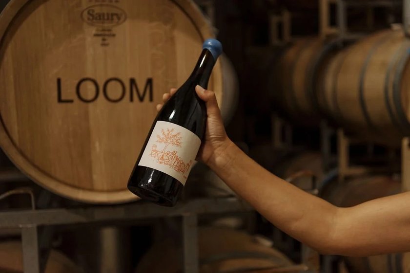 In the vineyard​​​​‌﻿‍﻿​‍​‍‌‍﻿﻿‌﻿​‍‌‍‍‌‌‍‌﻿‌‍‍‌‌‍﻿‍​‍​‍​﻿‍‍​‍​‍‌﻿​﻿‌‍​‌‌‍﻿‍‌‍‍‌‌﻿‌​‌﻿‍‌​‍﻿‍‌‍‍‌‌‍﻿﻿​‍​‍​‍﻿​​‍​‍‌‍‍​‌﻿​‍‌‍‌‌‌‍‌‍​‍​‍​﻿‍‍​‍​‍‌‍‍​‌﻿‌​‌﻿‌​‌﻿​​‌﻿​﻿​﻿‍‍​‍﻿﻿​‍﻿﻿‌﻿‌﻿‌﻿‌﻿‌﻿‌﻿​‍﻿‍‌﻿​﻿‌‍​‌‌‍﻿‍‌‍‍‌‌﻿‌​‌﻿‍‌​‍﻿‍‌‍‍‌‌‍﻿﻿​‍﻿﻿‌​​​‌‍﻿﻿‌﻿​​‌‍‌﻿​﻿‍‌‌‍‌​‌​﻿‌‌﻿​‌‌‌‌​‌​​﻿​‍﻿﻿‌﻿​﻿‌﻿‌​‌﻿‌‌‌‍‌​‌‍‍‌‌‍﻿﻿​‍﻿﻿‌‍​﻿​﻿‍‌​﻿‌﻿‌﻿‌​‌‍‌​​﻿​​‌‍‍‍‌﻿‌‌‌‍‌​​﻿​​‌‍﻿​‌‍​‌‌﻿‌‌​﻿​​​﻿‍​‌﻿‍‍​﻿​‍‌﻿‌﻿‌‍﻿﻿​﻿‌​​﻿​‌‌‍​﻿‌﻿‍‌​﻿​‍​‍﻿﻿‌‍‌​‌‍‌‌‌﻿‌‍‌‍‌‌‌‍﻿​‌‍﻿﻿‌﻿​​‌‍﻿‌‌‍‌‌‌‍﻿‍‌﻿‌​​‍﻿﻿‌‍‍‌‌‍﻿‍‌﻿‌​‌‍‌‌‌‍﻿‍‌﻿‌​​‍﻿﻿‌‍‌‌‌‍‌​‌‍‍‌‌﻿‌​​‍﻿﻿‌‍﻿‌‌‍﻿﻿‌‍‌​‌‍‌‌​﻿﻿‌‌﻿​​‌﻿​‍‌‍‌‌‌﻿​﻿‌‍‌‌‌‍﻿‍‌﻿‌​‌‍​‌‌﻿‌​‌‍‍‌‌‍﻿﻿‌‍﻿‍​﻿‍﻿‌‍‍‌‌‍‌​​﻿﻿‌‌﻿‌﻿‌‍‍​‌‍﻿﻿‌‌‌﻿‌‍‍​‌﻿‍‌‌‌​​‌‍​‌‌‍‌﻿‌‍‌‌​﻿‍﻿‌﻿‌​‌﻿‍‌‌﻿​​‌‍‌‌​﻿﻿‌‌﻿‌﻿‌‍‍​‌‍﻿﻿‌‌‌﻿‌‍‍​‌﻿‍‌‌‌​​‌‍​‌‌‍‌﻿‌‍‌‌​﻿‍﻿‌﻿​​‌‍​‌‌﻿‌​‌‍‍​​﻿﻿‌‌﻿‌﻿‌‍‍​‌﻿‍‌​‍﻿‍‌‍‍‌‌‍﻿‌‌‍​‌‌‍‌﻿‌‍‌‌​‍﻿‍‌‍​‌‌‍﻿​‌﻿‌​​﻿﻿﻿‌‍​‍‌‍​‌‌﻿​﻿‌‍‌‌‌‌‌‌‌﻿​‍‌‍﻿​​﻿﻿‌‌‍‍​‌﻿‌​‌﻿‌​‌﻿​​‌﻿​﻿​‍‌‌​﻿​﻿‌​​‌​‍‌‌​﻿​‍‌​‌‍​‍‌‌​﻿​‍‌​‌‍‌﻿‌﻿‌﻿‌﻿‌﻿‌﻿​‍﻿‍‌﻿​﻿‌‍​‌‌‍﻿‍‌‍‍‌‌﻿‌​‌﻿‍‌​‍﻿‍‌‍‍‌‌‍﻿﻿​‍‌‌​﻿​‍‌​‌‍​‍‌‌​﻿‌​​﻿​​‌‍﻿﻿‌﻿​​‌‍‌﻿​﻿‍‌‌‍‌​‌​﻿‌‌﻿​‌‌‌‌​‌​​﻿​‍‌‌​﻿​‍‌​‌‍‌﻿​﻿‌﻿‌​‌﻿‌‌‌‍‌​‌‍‍‌‌‍﻿﻿​‍‌‌​﻿​‍‌​‌‍‌‍​﻿​﻿‍‌​﻿‌﻿‌﻿‌​‌‍‌​​﻿​​‌‍‍‍‌﻿‌‌‌‍‌​​﻿​​‌‍﻿​‌‍​‌‌﻿‌‌​﻿​​​﻿‍​‌﻿‍‍​﻿​‍‌﻿‌﻿‌‍﻿﻿​﻿‌​​﻿​‌‌‍​﻿‌﻿‍‌​﻿​‍​‍‌‌​﻿​‍‌​‌‍‌‍‌​‌‍‌‌‌﻿‌‍‌‍‌‌‌‍﻿​‌‍﻿﻿‌﻿​​‌‍﻿‌‌‍‌‌‌‍﻿‍‌﻿‌​​‍‌‍‌‍‍‌‌‍‌​​﻿﻿‌‌﻿‌﻿‌‍‍​‌‍﻿﻿‌‌‌﻿‌‍‍​‌﻿‍‌‌‌​​‌‍​‌‌‍‌﻿‌‍‌‌​‍‌‍‌﻿‌​‌﻿‍‌‌﻿​​‌‍‌‌​﻿﻿‌‌﻿‌﻿‌‍‍​‌‍﻿﻿‌‌‌﻿‌‍‍​‌﻿‍‌‌‌​​‌‍​‌‌‍‌﻿‌‍‌‌​‍‌‍‌﻿​​‌‍​‌‌﻿‌​‌‍‍​​﻿﻿‌‌﻿‌﻿‌‍‍​‌﻿‍‌​‍﻿‍‌‍‍‌‌‍﻿‌‌‍​‌‌‍‌﻿‌‍‌‌​‍﻿‍‌‍​‌‌‍﻿​‌﻿‌​​‍‌‍‌﻿​​‌‍‌‌‌﻿​‍‌﻿​﻿‌﻿​​‌‍‌‌‌‍​﻿‌﻿‌​‌‍‍‌‌﻿‌‍‌‍‌‌​﻿﻿‌‌﻿​​‌﻿‌‌‌‍​‍‌‍﻿​‌‍‍‌‌﻿​﻿‌‍‍​‌‍‌‌‌‍‌​​‍​‍‌﻿﻿‌
