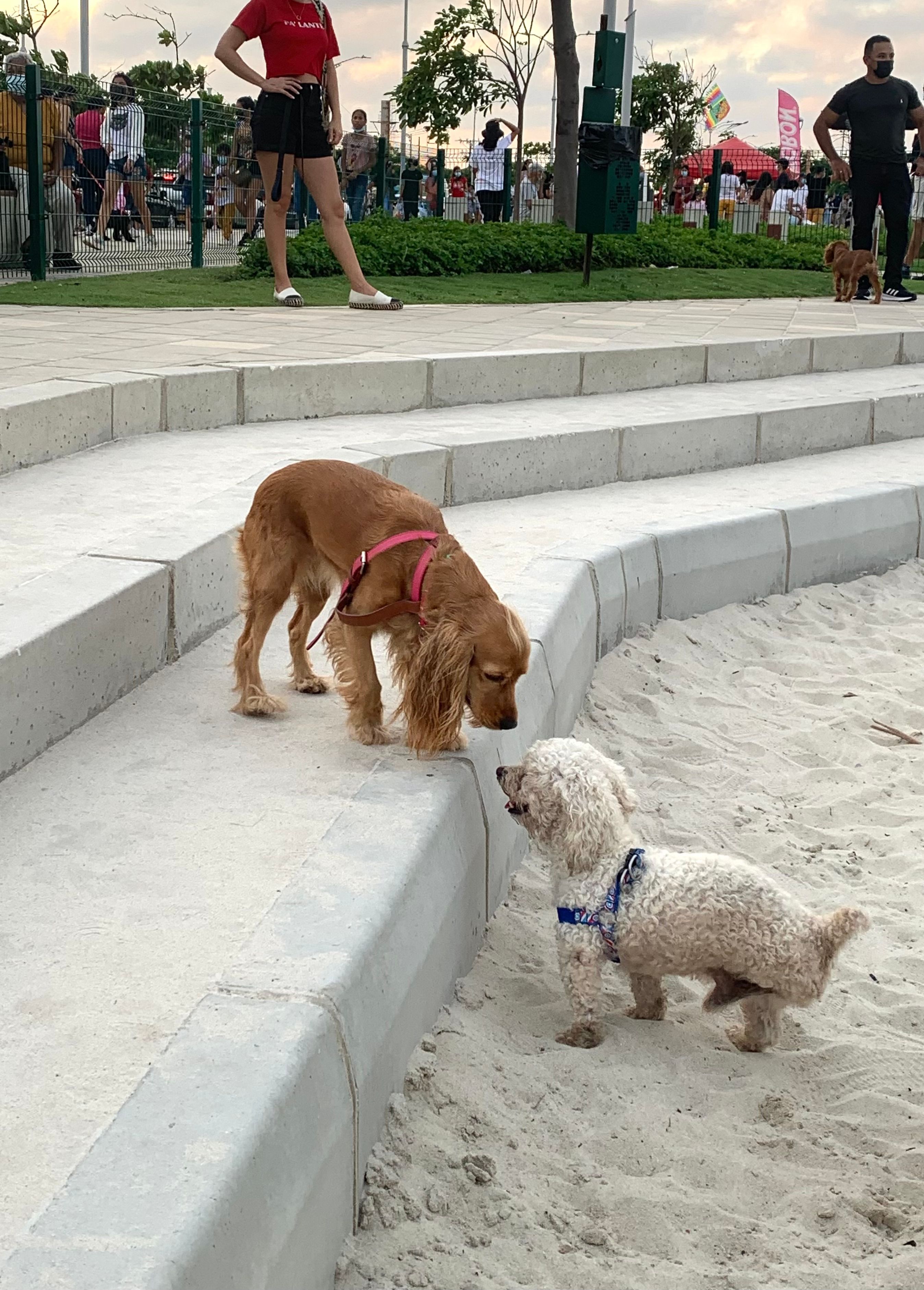 Parque para Perros del Gran Malecón