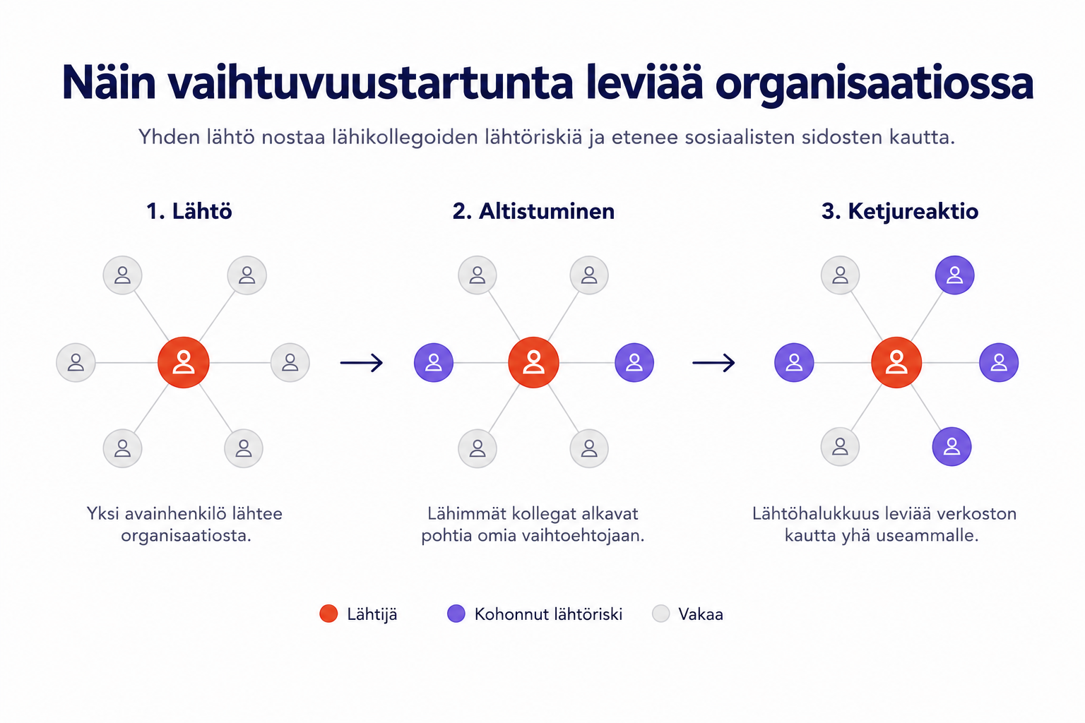 Kolmivaiheinen infografiikka siitä, miten vaihtuvuustartunta leviää organisaatiossa. Jokainen vaihe esittää verkoston, jonka keskellä on yksi henkilö ja ympärillä kuusi kollegaa. Vaiheessa 1 (Lähtö) keskellä oleva avainhenkilö on merkitty punaisella, kun yksi avainhenkilö lähtee organisaatiosta. Vaiheessa 2 (Altistuminen) kaksi lähintä kollegaa muuttuu violetiksi merkkinä kohonneesta lähtöriskistä, kun lähimmät kollegat alkavat pohtia omia vaihtoehtojaan. Vaiheessa 3 (Ketjureaktio) kohonneen lähtöriskin solmujen määrä kasvaa, kun lähtöhalukkuus leviää verkoston kautta yhä useammalle. Selitteen mukaan punainen tarkoittaa lähtijää, violetti kohonnutta lähtöriskiä ja harmaa vakaata tilannetta.