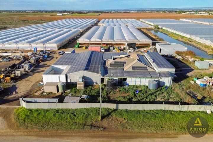 384 Tozer Rd, Buckland Park