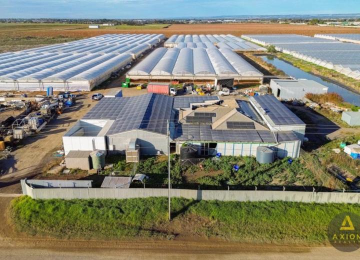 384 Tozer Rd, Buckland Park