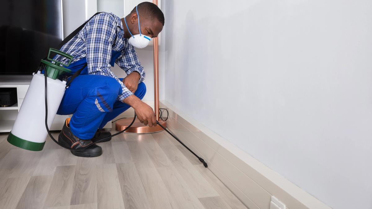 Pest control technician treating under a cabinet