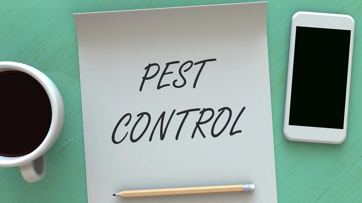 Pest Control written on paper with coffee mug pencil and smart phone around it