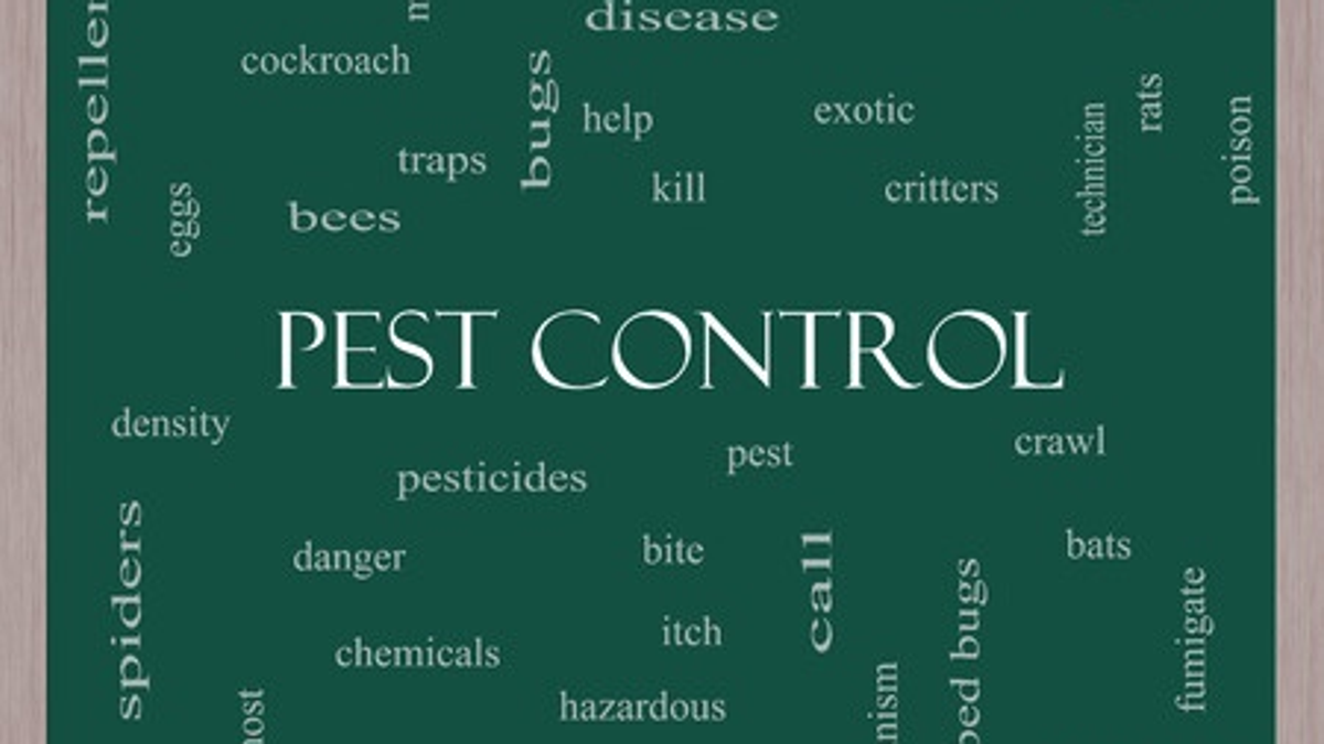 Collage of Pest Control related words
