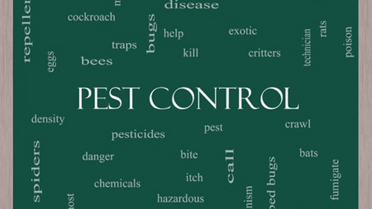 Collage of Pest Control related words