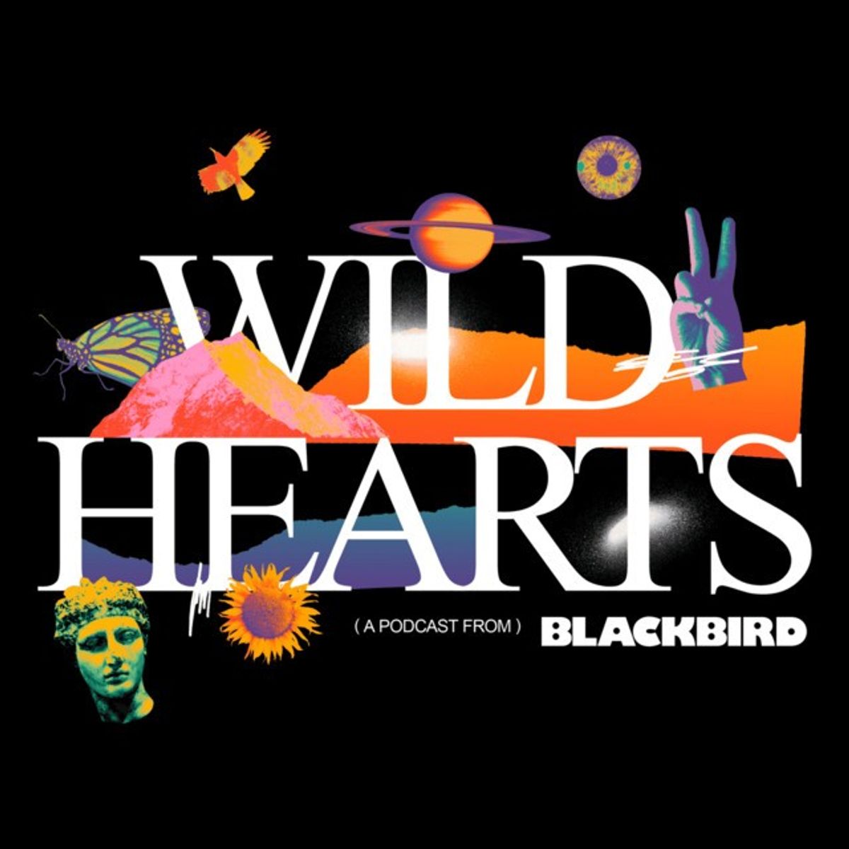 Wild Hearts (Blackbird Ventures)