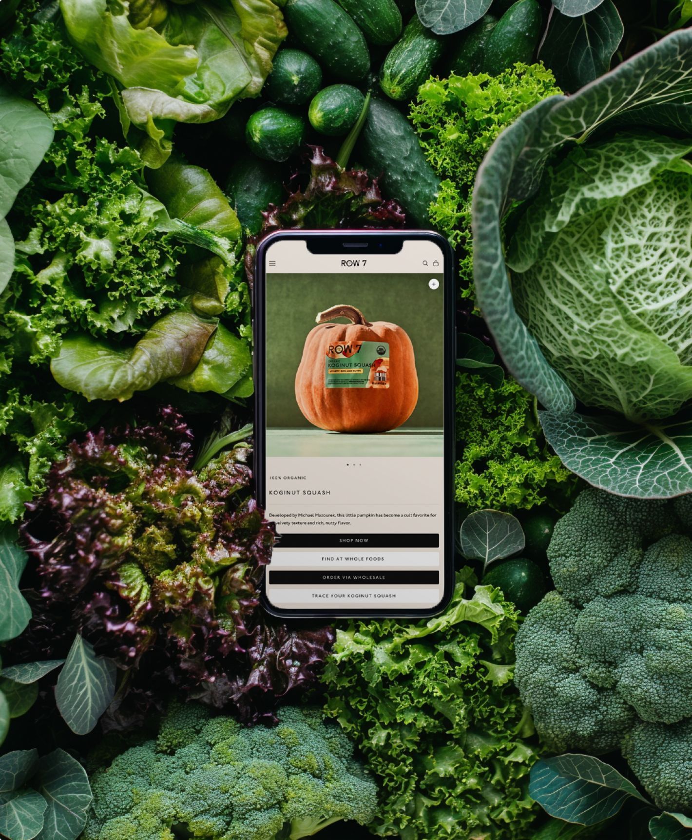 Creative​​​​‌﻿‍﻿​‍​‍‌‍﻿﻿‌﻿​‍‌‍‍‌‌‍‌﻿‌‍‍‌‌‍﻿‍​‍​‍​﻿‍‍​‍​‍‌﻿​﻿‌‍​‌‌‍﻿‍‌‍‍‌‌﻿‌​‌﻿‍‌​‍﻿‍‌‍‍‌‌‍﻿﻿​‍​‍​‍﻿​​‍​‍‌‍‍​‌﻿​‍‌‍‌‌‌‍‌‍​‍​‍​﻿‍‍​‍​‍​‍﻿﻿‌‍​﻿‌‍﻿‌‌﻿​﻿​‍﻿﻿‌‍‍‌‌‍﻿‍‌﻿‌​‌‍‌‌‌‍﻿‍‌﻿‌​​‍﻿﻿‌‍‌‌‌‍‌​‌‍‍‌‌﻿‌​​‍﻿﻿‌‍﻿‌‌‍﻿﻿‌‍‌​‌‍‌‌​﻿﻿‌‌﻿​​‌﻿​‍‌‍‌‌‌﻿​﻿‌‍‌‌‌‍﻿‍‌﻿‌​‌‍​‌‌﻿‌​‌‍‍‌‌‍﻿﻿‌‍﻿‍​﻿‍﻿‌‍‍‌‌‍‌​​﻿﻿‌‌﻿​​‌‍​‌‌‍‌﻿‌‍‌‌‌‌﻿﻿‌‍‍​‌‍﻿﻿‌‍﻿‌‌‍‌‌​‍﻿‌‌﻿​﻿‌﻿‌​‌﻿‌‌‌‍‌​‌‍‍‌‌‍﻿﻿​﻿‍﻿‌﻿‌​‌﻿‍‌‌﻿​​‌‍‌‌​﻿﻿‌‌﻿​​‌‍​‌‌‍‌﻿‌‍‌‌‌‌﻿﻿‌‍‍​‌‍﻿﻿‌‍﻿‌‌‍‌‌​‍﻿‌‌﻿​﻿‌﻿‌​‌﻿‌‌‌‍‌​‌‍‍‌‌‍﻿﻿​﻿‍﻿‌﻿​​‌‍​‌‌﻿‌​‌‍‍​​﻿﻿‌‌‍‌﻿‌‍﻿​‌‍﻿﻿‌‍​‍‌‍​‌‌‍﻿​‌‌​﻿‌‍‌‌‌‍​﻿‌﻿‌​‌‍‍‌‌‍﻿﻿‌‍﻿‍‌﻿​﻿​‍﻿‍‌﻿​﻿‌‍‌‌‌‍​﻿‌﻿‌​‌‍‍‌‌‍﻿﻿‌‍﻿‍‌﻿​﻿​‍‌‌​﻿‌‌‌​​‍‌‌﻿﻿‌‍‍﻿‌‍‌‌‌﻿‍‌​‍‌‌​﻿​﻿‌​‌​​‍‌‌​﻿​﻿‌​‌​​‍‌‌​﻿​‍​﻿​‍​﻿‍‌​﻿‍​​﻿​​‌‍‌‌​﻿‌‍‌‍​‌​﻿‌‍​﻿​​​﻿‍‌​﻿​﻿​﻿‍​‌‍‌‍​‍‌‌​﻿​‍​﻿​‍​‍‌‌​﻿‌‌‌​‌​​‍﻿‍‌﻿‌​‌‍​‌‌‍​‍‌﻿​﻿​‍‌‌​﻿‌‌‌​​‍‌‌﻿﻿‌‍‍﻿‌‍‌‌‌﻿‍‌​‍‌‌​﻿​﻿‌​‌​​‍‌‌​﻿​﻿‌​‌​​‍‌‌​﻿​‍​﻿​‍‌‍‌‌‌‍‌‌​﻿​﻿‌‍​‌​﻿​‌‌‍​﻿​﻿‍‌​﻿​‌​﻿​‌​﻿‍​‌‍​‍‌‍‌‌​‍‌‌​﻿​‍​﻿​‍​‍‌‌​﻿‌‌‌​‌​​‍﻿‍‌‍﻿‌‌‍‌‌‌‍‌​‌‍‍‌‌‍​‌​‍﻿‍‌‍‍‌‌‍﻿‌‌‍​‌‌‍‌﻿‌‍‌‌​‍﻿‍‌‍​‌‌‍﻿​‌﻿‌​​﻿﻿﻿‌‍​‍‌‍​‌‌﻿​﻿‌‍‌‌‌‌‌‌‌﻿​‍‌‍﻿​​﻿﻿‌​‍‌‌​﻿​‍‌​‌‍‌‍​﻿‌‍﻿‌‌﻿​﻿​‍‌‍‌‍‍‌‌‍‌​​﻿﻿‌‌﻿​​‌‍​‌‌‍‌﻿‌‍‌‌‌‌﻿﻿‌‍‍​‌‍﻿﻿‌‍﻿‌‌‍‌‌​‍﻿‌‌﻿​﻿‌﻿‌​‌﻿‌‌‌‍‌​‌‍‍‌‌‍﻿﻿​‍‌‍‌﻿‌​‌﻿‍‌‌﻿​​‌‍‌‌​﻿﻿‌‌﻿​​‌‍​‌‌‍‌﻿‌‍‌‌‌‌﻿﻿‌‍‍​‌‍﻿﻿‌‍﻿‌‌‍‌‌​‍﻿‌‌﻿​﻿‌﻿‌​‌﻿‌‌‌‍‌​‌‍‍‌‌‍﻿﻿​‍‌‍‌﻿​​‌‍​‌‌﻿‌​‌‍‍​​﻿﻿‌‌‍‌﻿‌‍﻿​‌‍﻿﻿‌‍​‍‌‍​‌‌‍﻿​‌‌​﻿‌‍‌‌‌‍​﻿‌﻿‌​‌‍‍‌‌‍﻿﻿‌‍﻿‍‌﻿​﻿​‍﻿‍‌﻿​﻿‌‍‌‌‌‍​﻿‌﻿‌​‌‍‍‌‌‍﻿﻿‌‍﻿‍‌﻿​﻿​‍‌‌​﻿‌‌‌​​‍‌‌﻿﻿‌‍‍﻿‌‍‌‌‌﻿‍‌​‍‌‌​﻿​﻿‌​‌​​‍‌‌​﻿​﻿‌​‌​​‍‌‌​﻿​‍​﻿​‍​﻿‍‌​﻿‍​​﻿​​‌‍‌‌​﻿‌‍‌‍​‌​﻿‌‍​﻿​​​﻿‍‌​﻿​﻿​﻿‍​‌‍‌‍​‍‌‌​﻿​‍​﻿​‍​‍‌‌​﻿‌‌‌​‌​​‍﻿‍‌﻿‌​‌‍​‌‌‍​‍‌﻿​﻿​‍‌‌​﻿‌‌‌​​‍‌‌﻿﻿‌‍‍﻿‌‍‌‌‌﻿‍‌​‍‌‌​﻿​﻿‌​‌​​‍‌‌​﻿​﻿‌​‌​​‍‌‌​﻿​‍​﻿​‍‌‍‌‌‌‍‌‌​﻿​﻿‌‍​‌​﻿​‌‌‍​﻿​﻿‍‌​﻿​‌​﻿​‌​﻿‍​‌‍​‍‌‍‌‌​‍‌‌​﻿​‍​﻿​‍​‍‌‌​﻿‌‌‌​‌​​‍﻿‍‌‍﻿‌‌‍‌‌‌‍‌​‌‍‍‌‌‍​‌​‍﻿‍‌‍‍‌‌‍﻿‌‌‍​‌‌‍‌﻿‌‍‌‌​‍﻿‍‌‍​‌‌‍﻿​‌﻿‌​​‍‌‍‌﻿​​‌‍‌‌‌﻿​‍‌﻿​﻿‌﻿​​‌‍‌‌‌‍​﻿‌﻿‌​‌‍‍‌‌﻿‌‍‌‍‌‌​﻿﻿‌‌﻿​​‌﻿‌‌‌‍​‍‌‍﻿​‌‍‍‌‌﻿​﻿‌‍‍​‌‍‌‌‌‍‌​​‍​‍‌﻿﻿‌