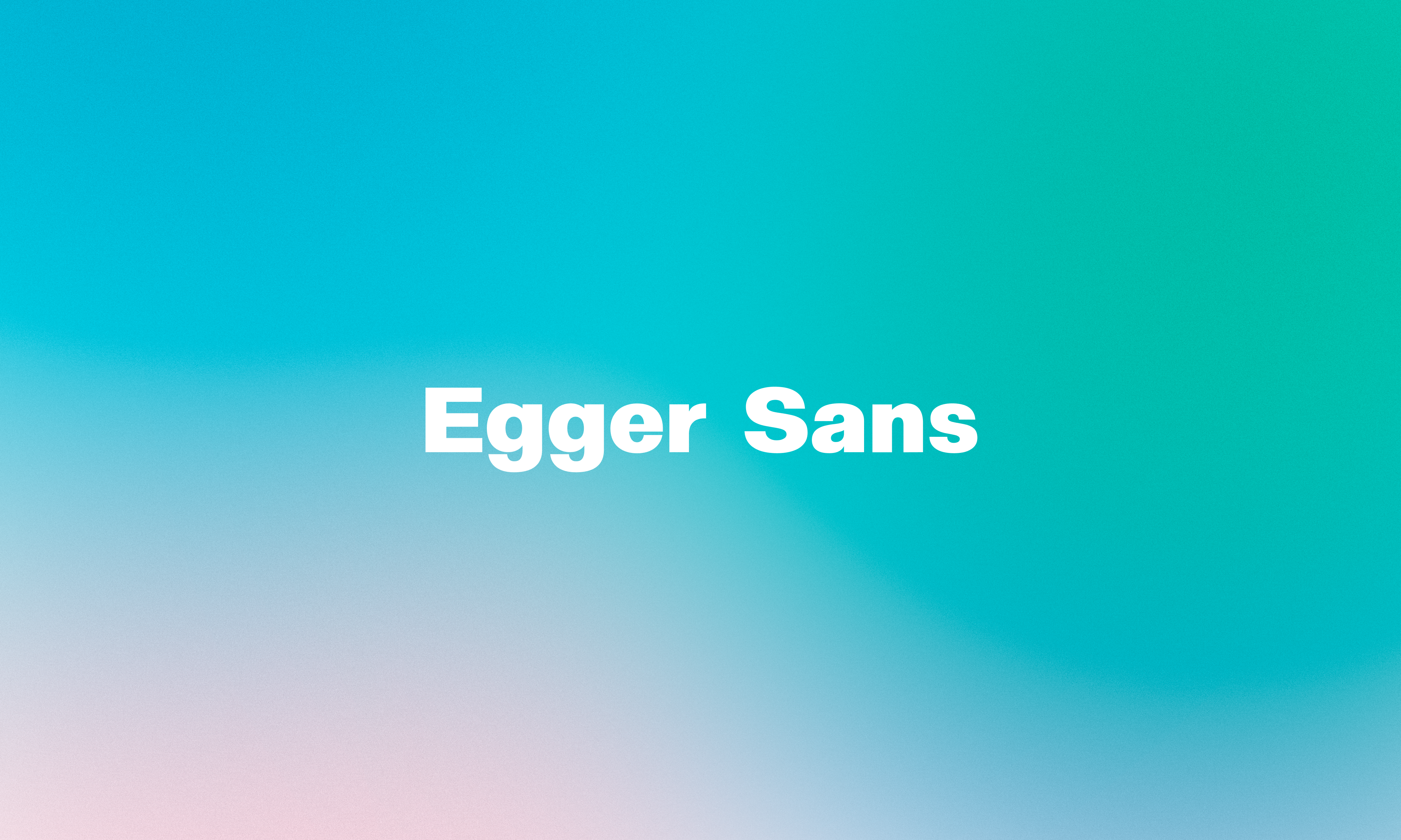 Egger Sans Banner