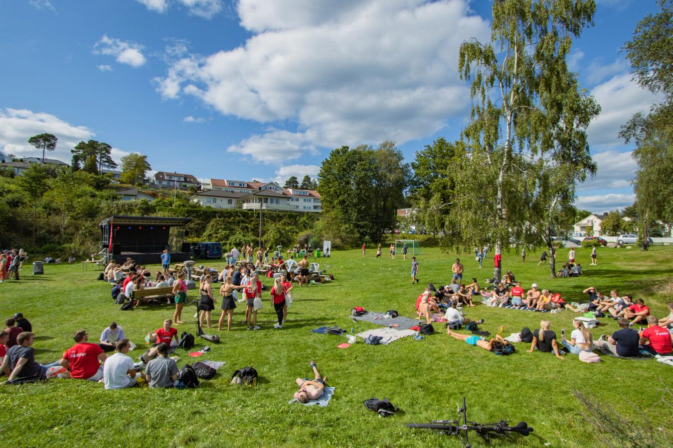 Universitetet i Agder 