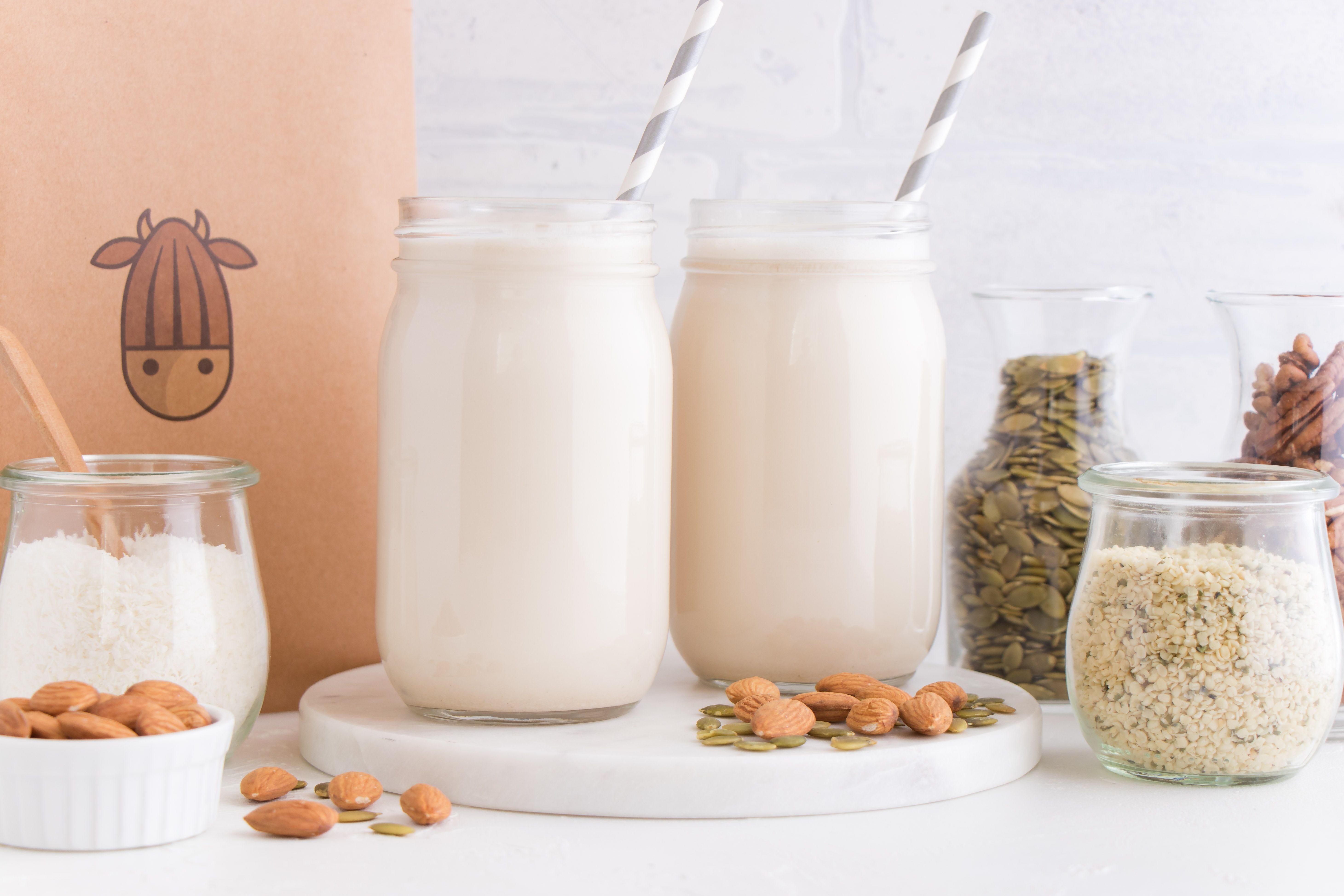 Power of Plant Protein: Protein-Rich Milk for National Protein Day