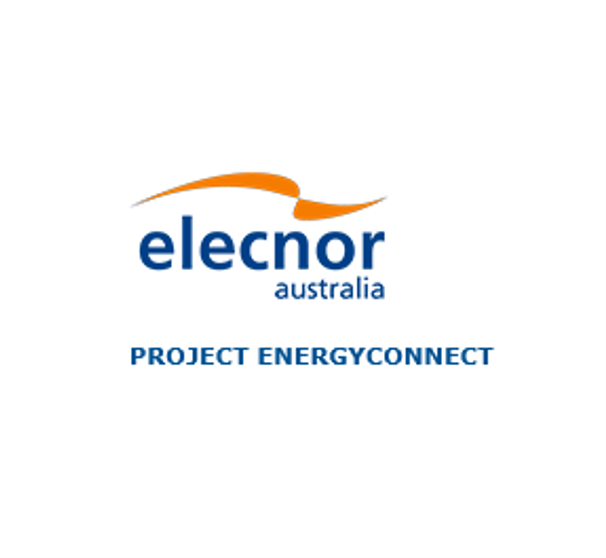 Elecnor | Engineering & Consutrction Clients | C2O Group