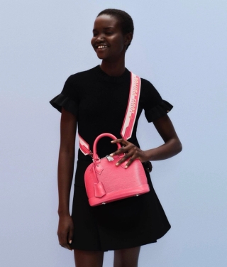 Louis Vuitton Leather Goods 22