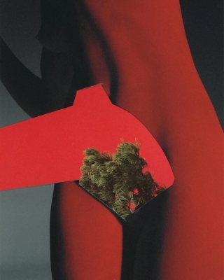 Pleasure Garden Issue 5