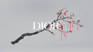Dior, Capsule Collection