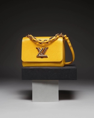 Louis Vuitton Twist 22