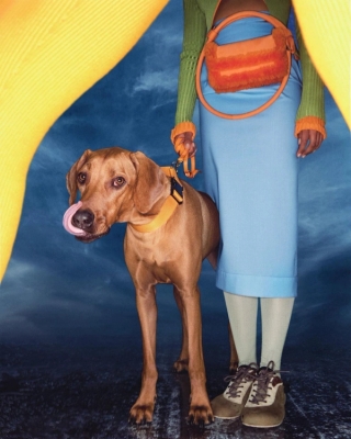 Jacquemus, Which Dog Are You?