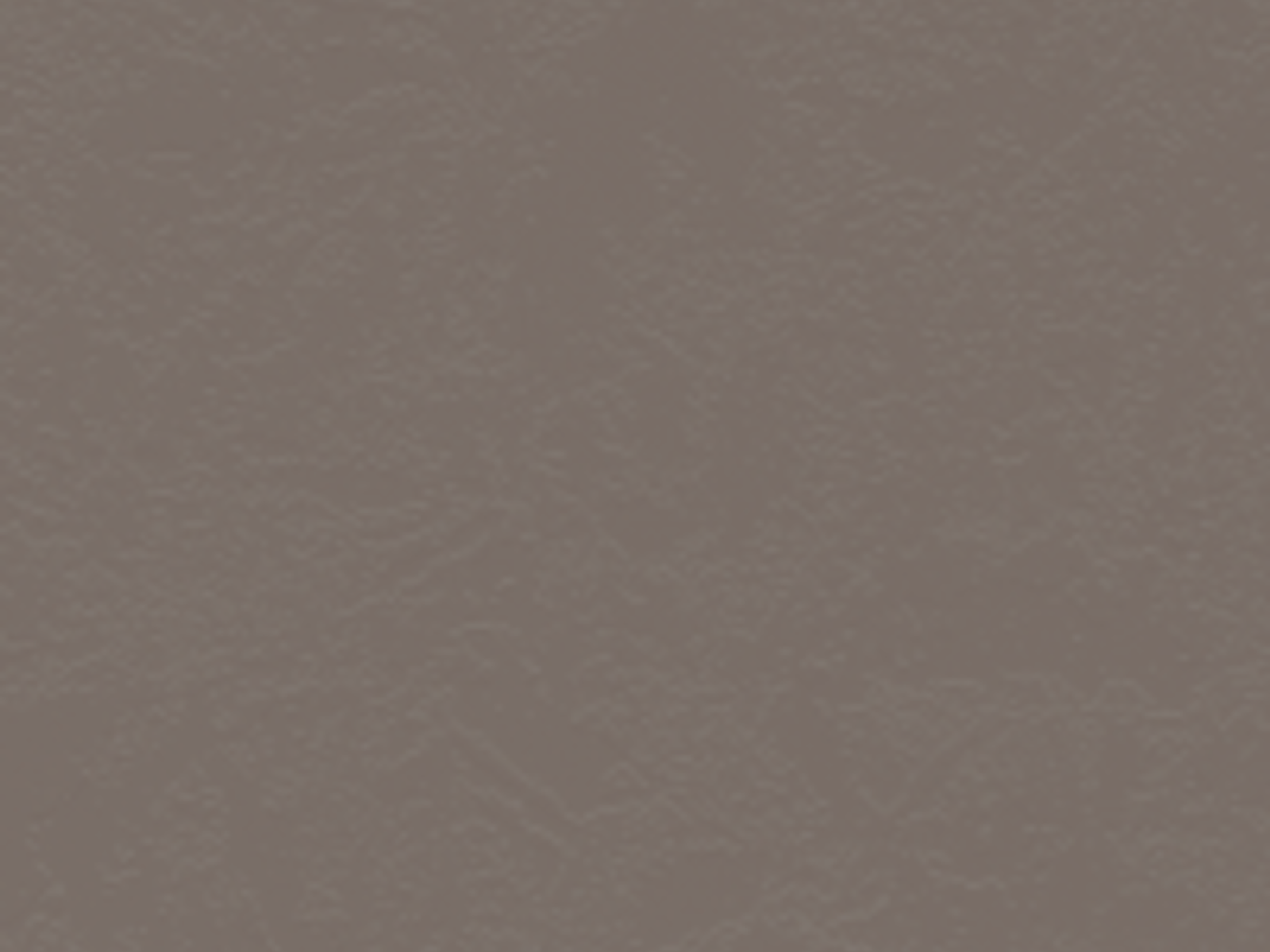 FIBROPLUS COLISEO 5,5 MM 2750 X 1830 FAPLAC