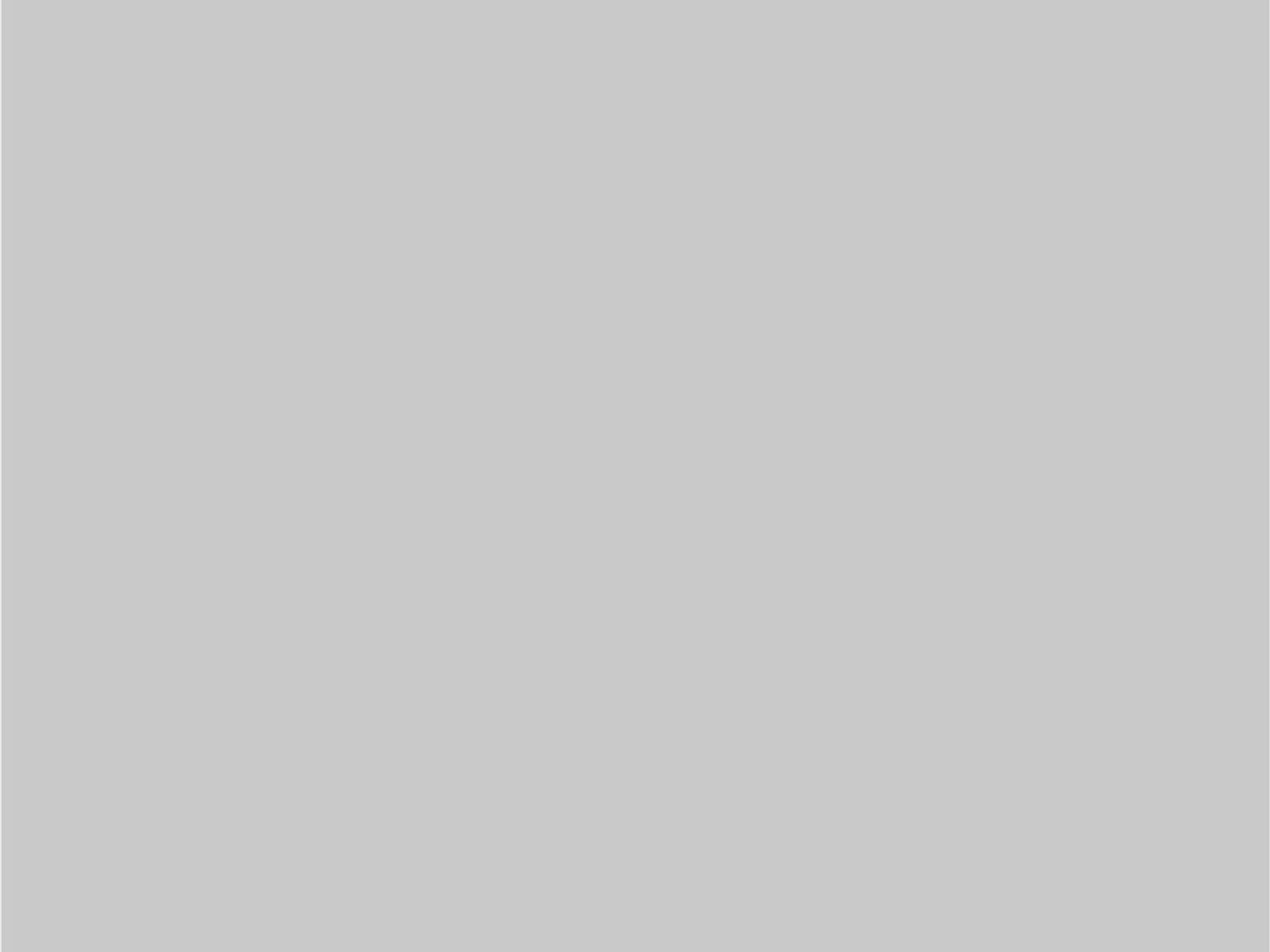 FIBROPLUS GRIS HUMO 5,5 MM 2750 X 1830 FAPLAC