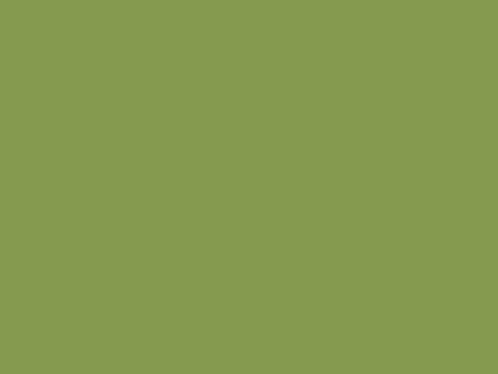 FIBROPLUS VERDE KIWI 5,5 MM 2600 X 1830 EGGER