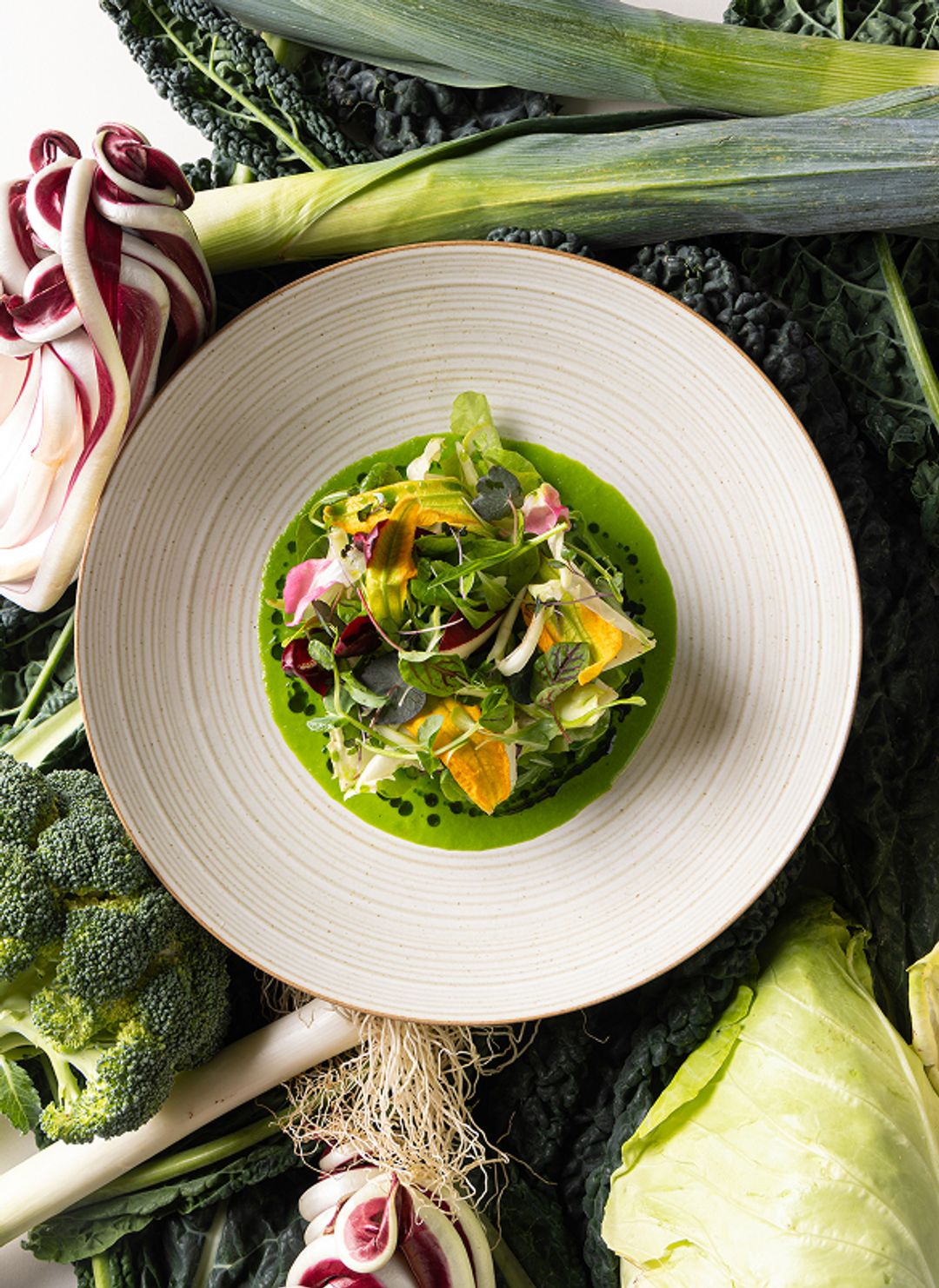 Cactus gallery image