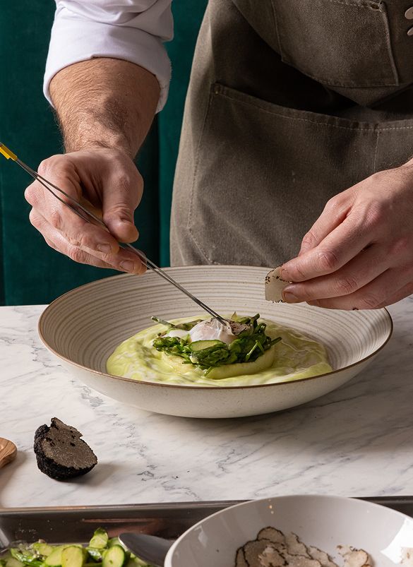 Cactus gallery image