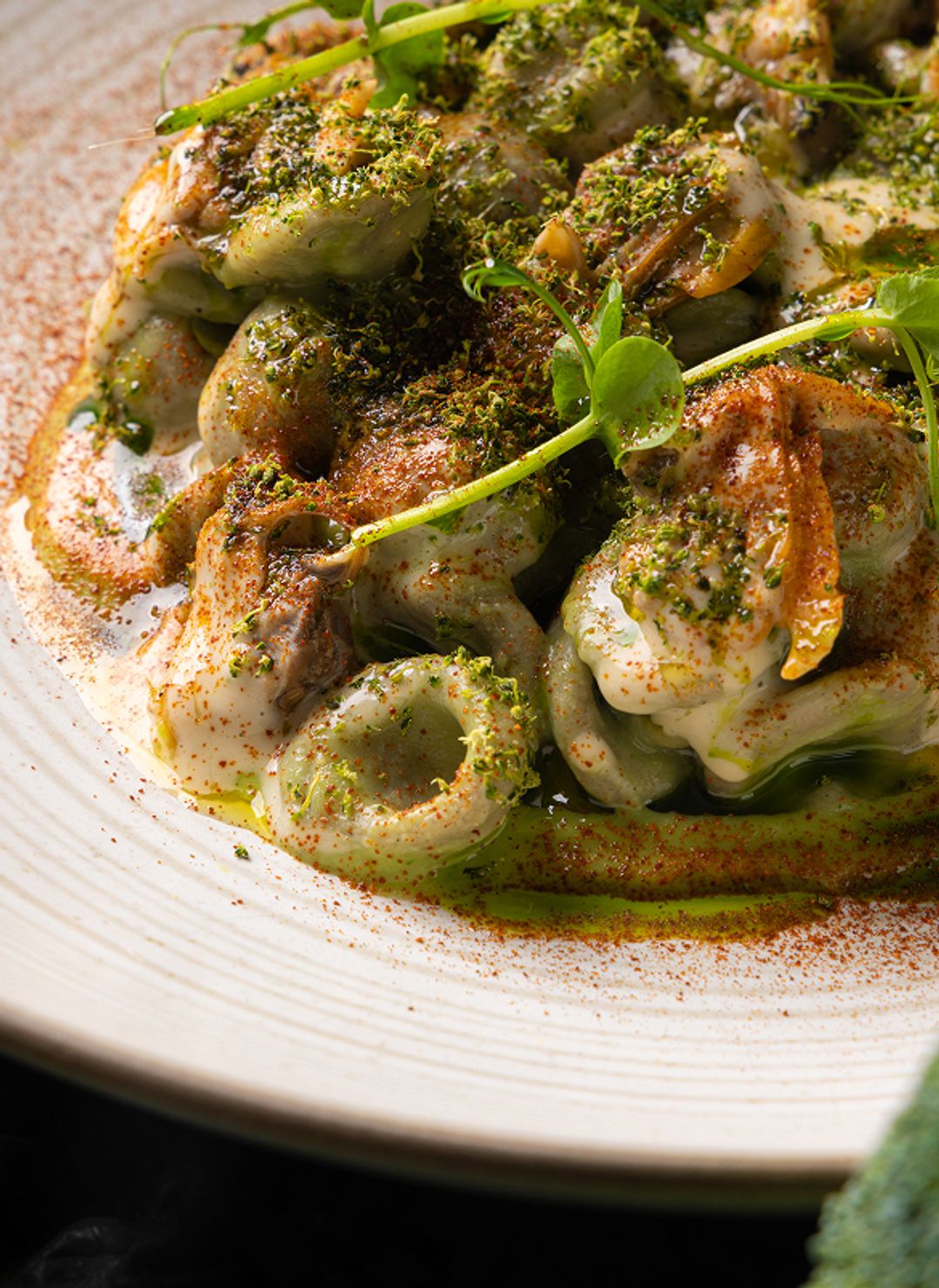 Cactus gallery image