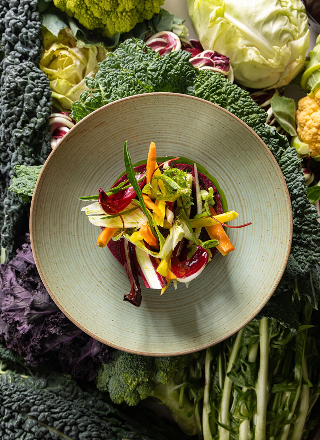 Cactus gallery image