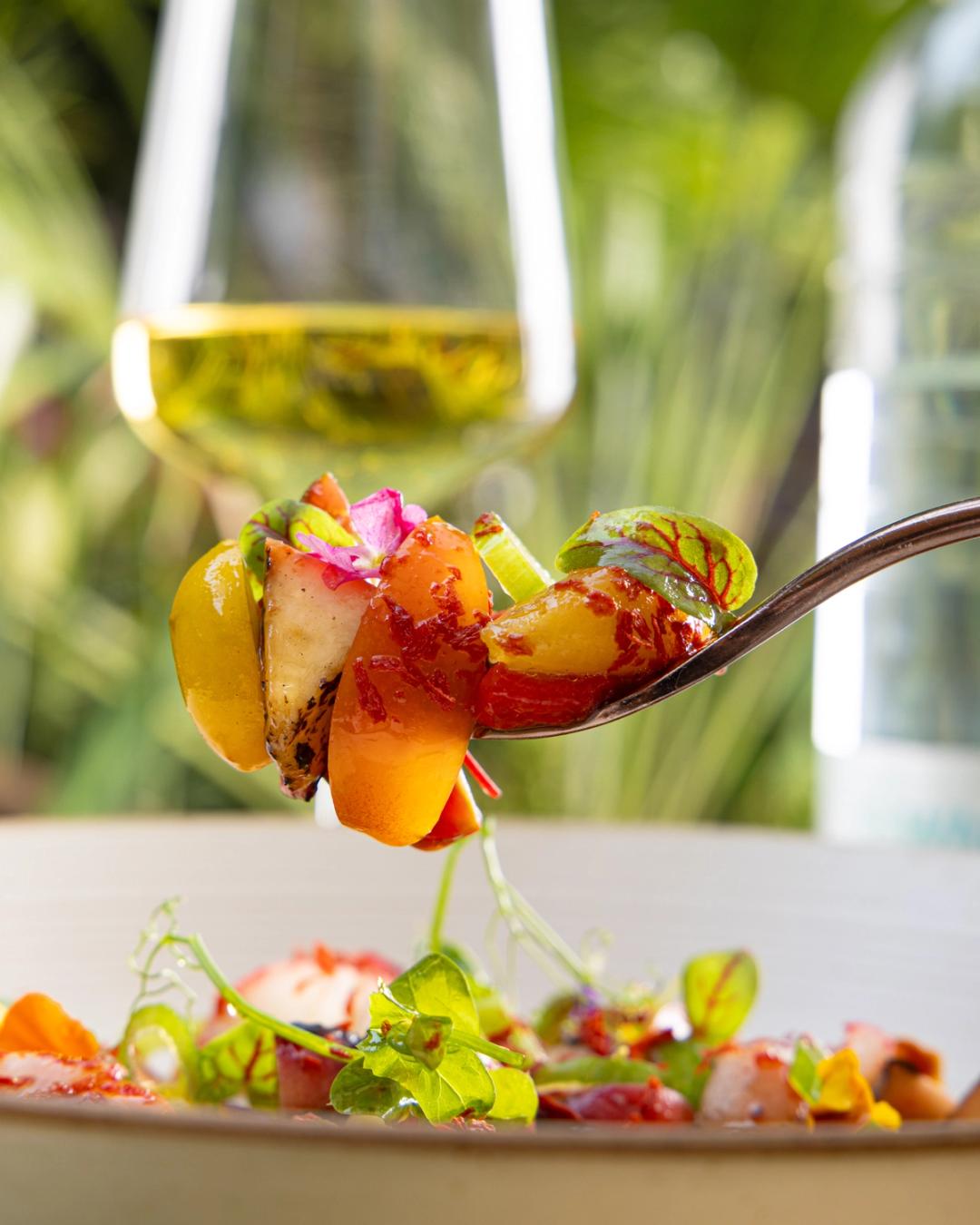 Cactus gallery image