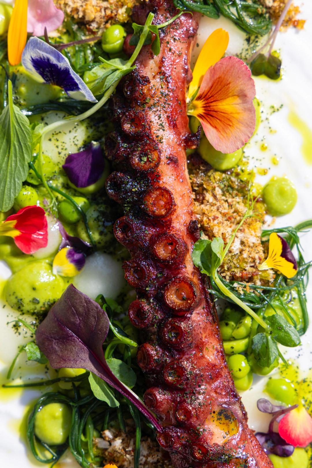 Cactus gallery image