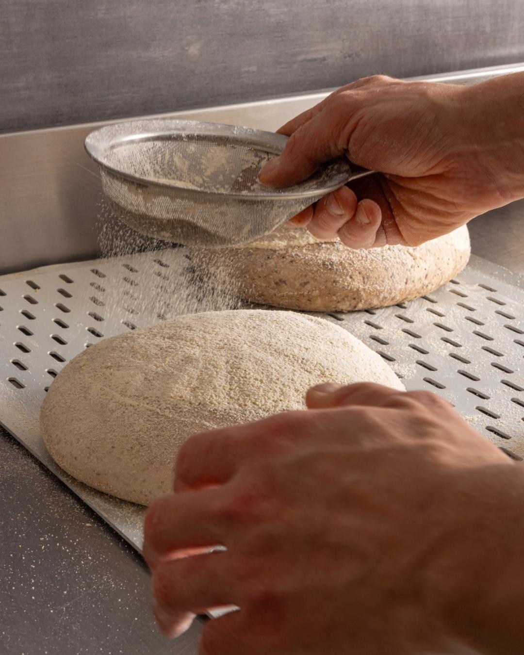 Maicol Torino  gallery image