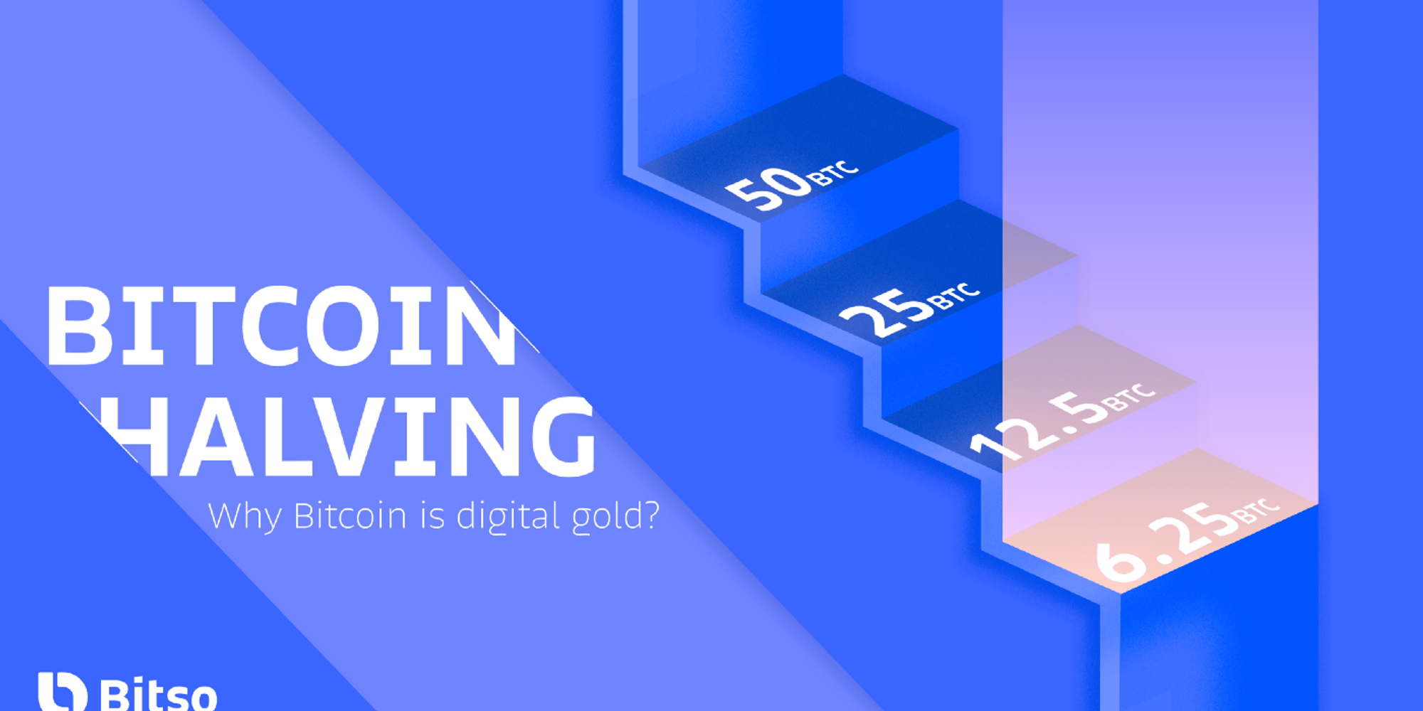 Cover Image for The Bitcoin Halving & What it means