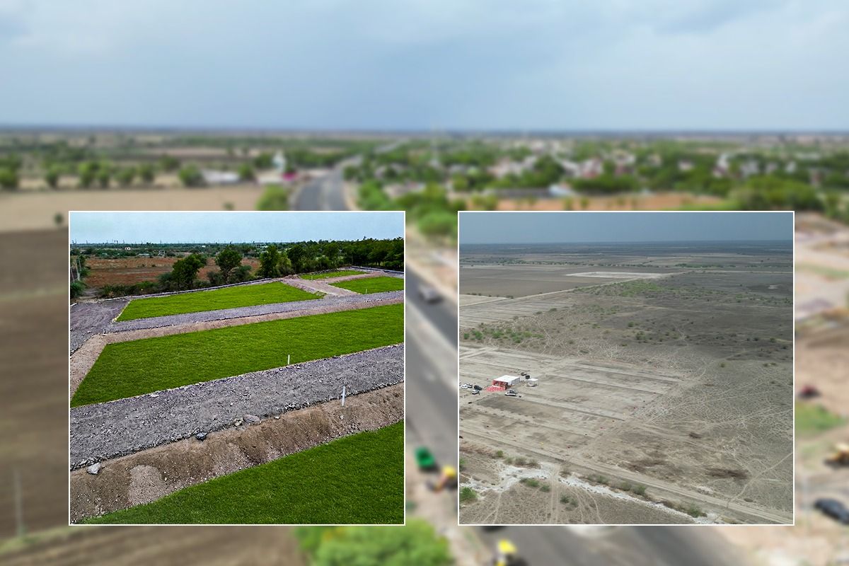 Dholera plot price