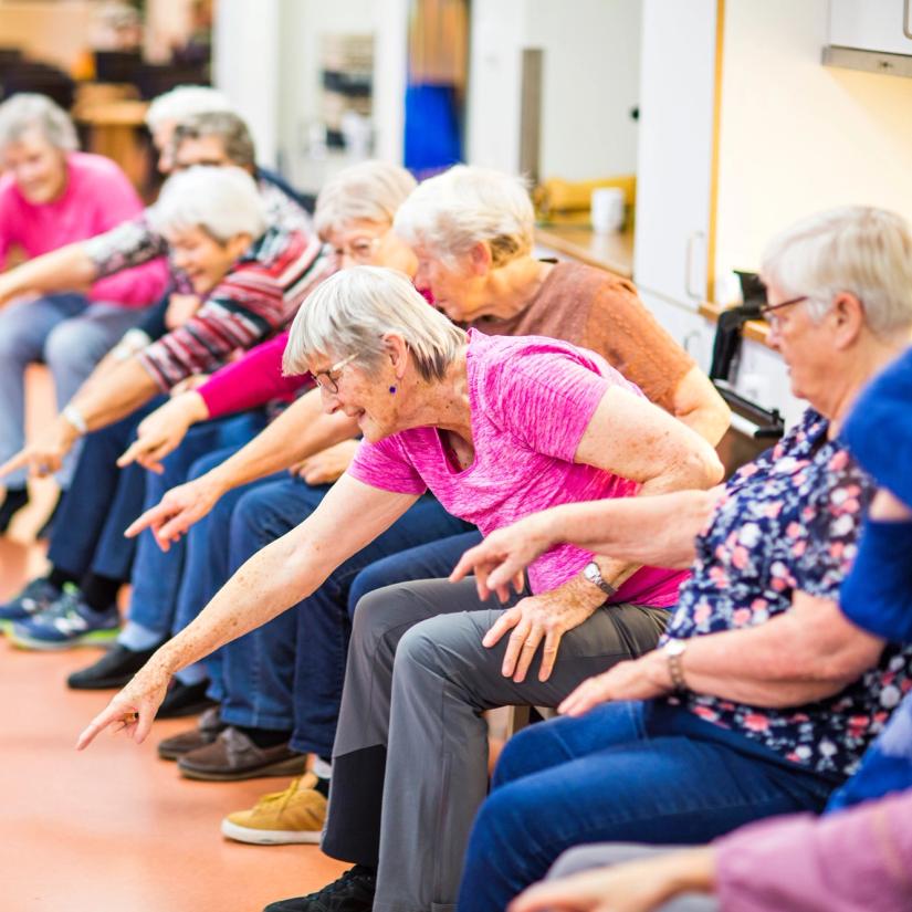 Sanggruppe med sang og trim