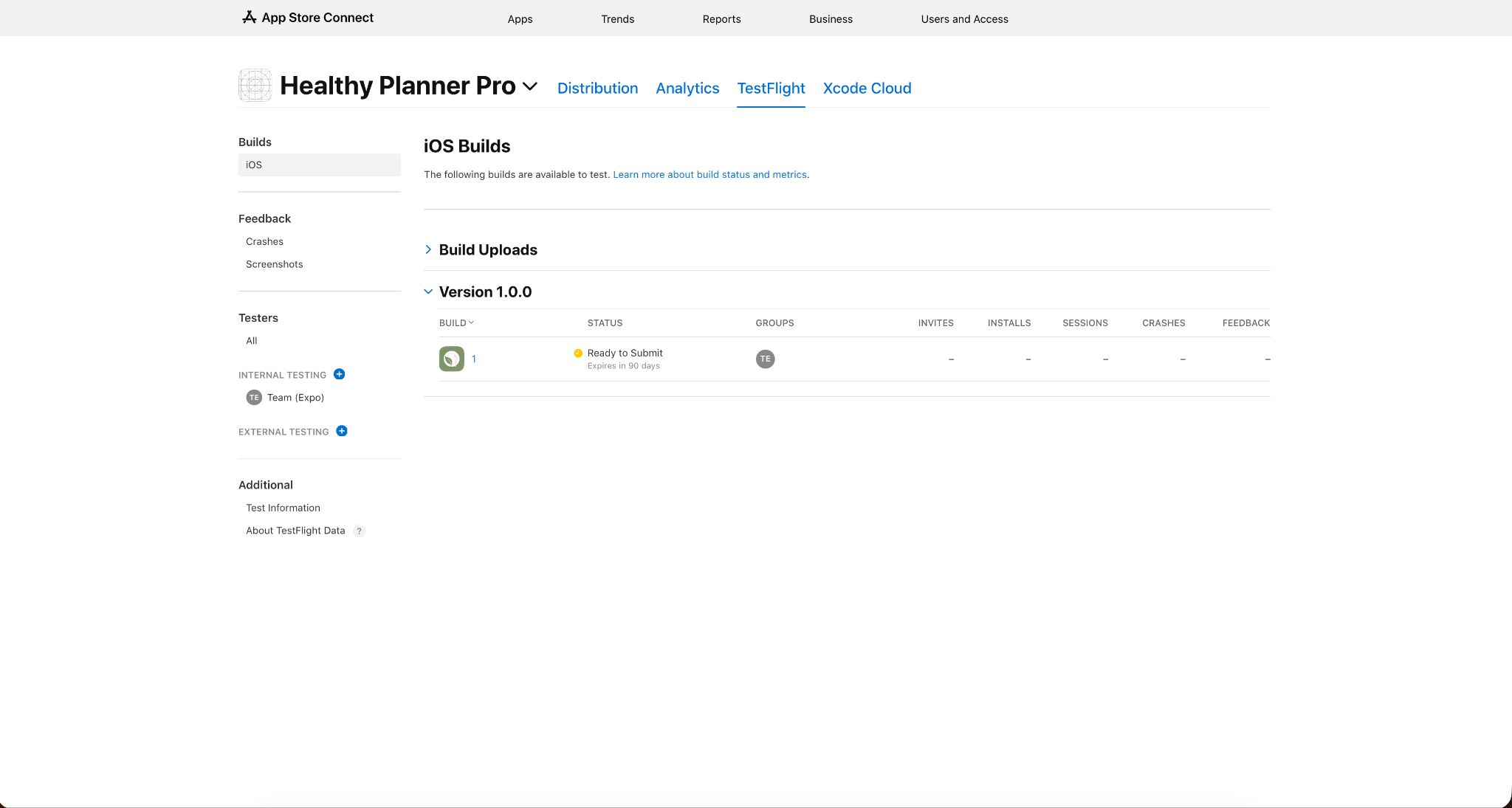 App Store Connect’s TestFlight page for Healthy Planner Pro, showing iOS build 1 of version 1.0.0 marked "Ready to Submit" for the Team (Expo) internal testing group.